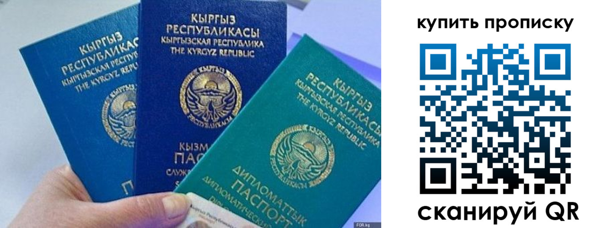прописка ребенка в Дмитрове